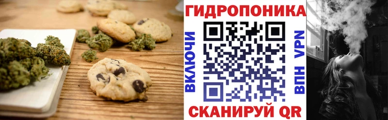 Canna-Cookies конопля  mega ССЫЛКА  Черногорск 