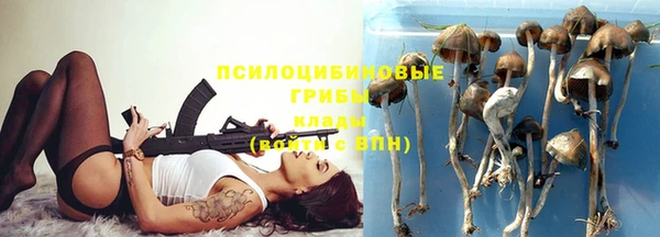 кристаллы Вяземский