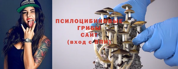 СК Вязники