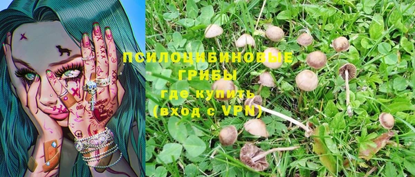 СК Вязники