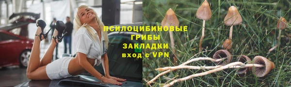 кристаллы Вяземский